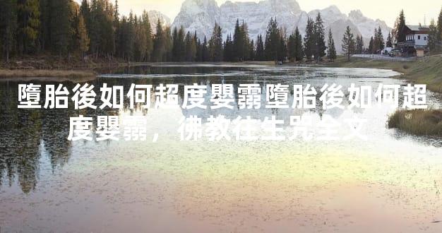 墮胎後如何超度嬰霛墮胎後如何超度嬰霛，彿教往生咒全文 